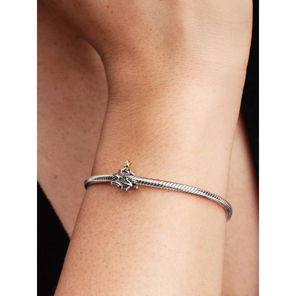 Silver Charm Image 3 Spath Jewelers Bartow, FL