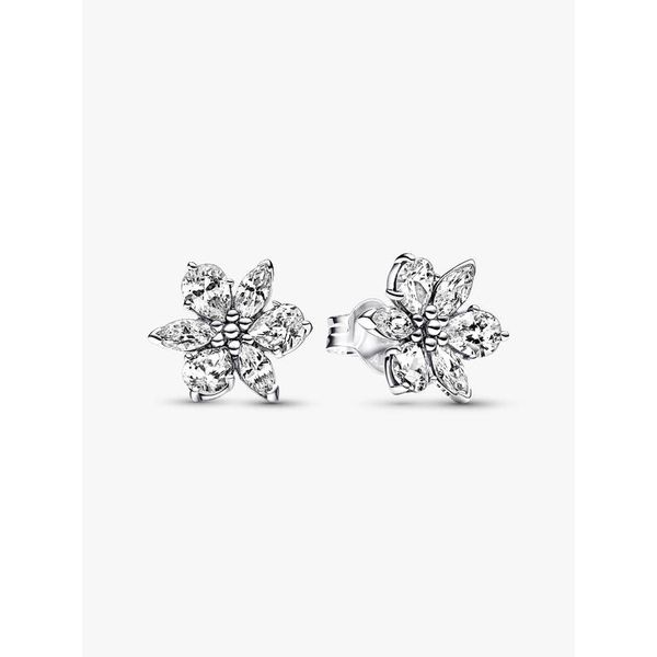 Silver Earrings Spath Jewelers Bartow, FL