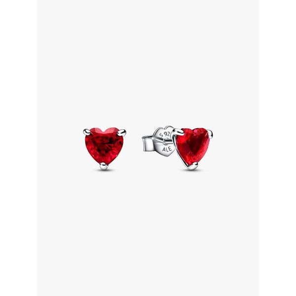 Silver Earrings Spath Jewelers Bartow, FL