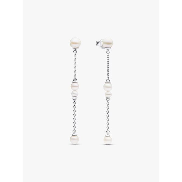 Silver Earrings Spath Jewelers Bartow, FL