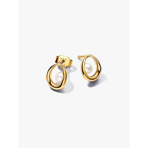 Silver Earrings Spath Jewelers Bartow, FL