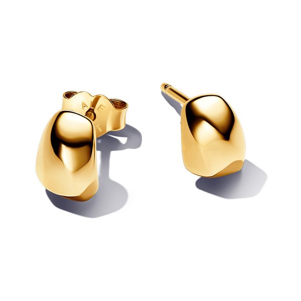 Silver Earrings Spath Jewelers Bartow, FL