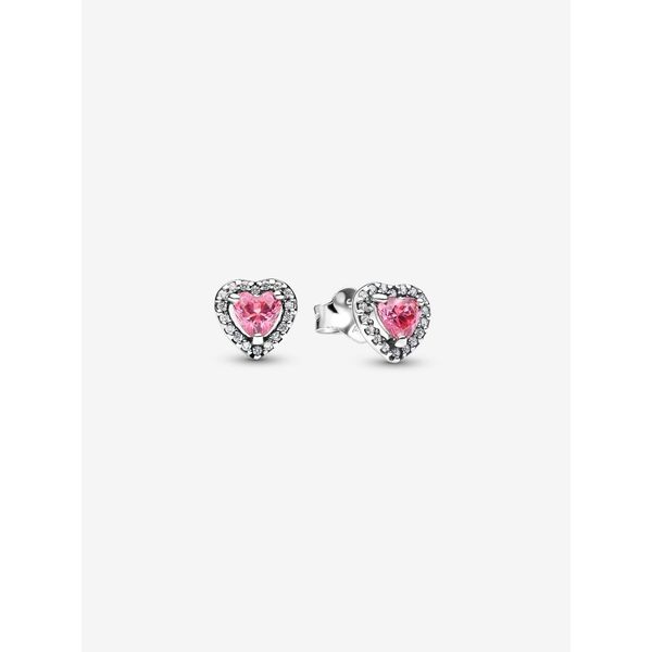 Silver Earrings Spath Jewelers Bartow, FL