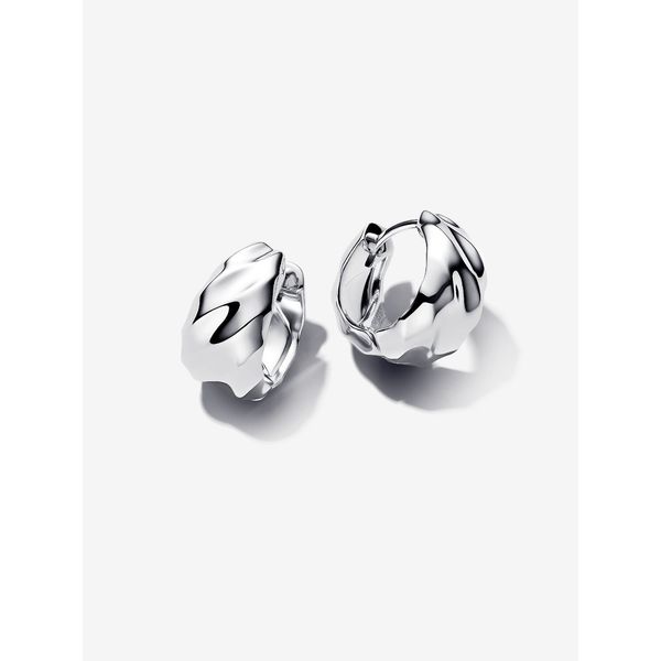 Silver Earrings Spath Jewelers Bartow, FL