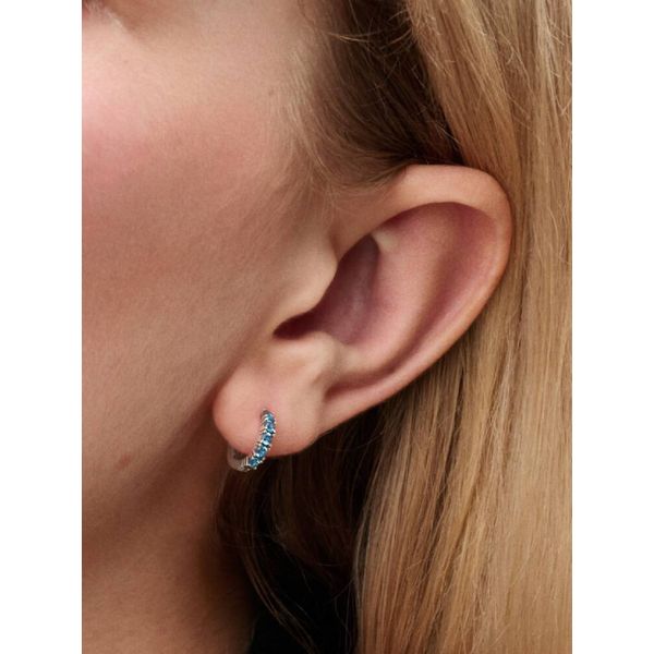 Silver Earrings Image 2 Spath Jewelers Bartow, FL