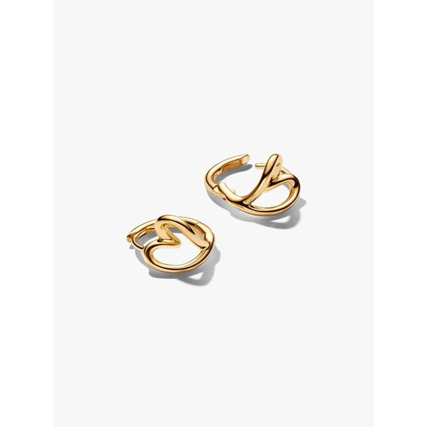 Silver Earrings Image 2 Spath Jewelers Bartow, FL