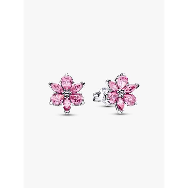 Silver Earrings Spath Jewelers Bartow, FL