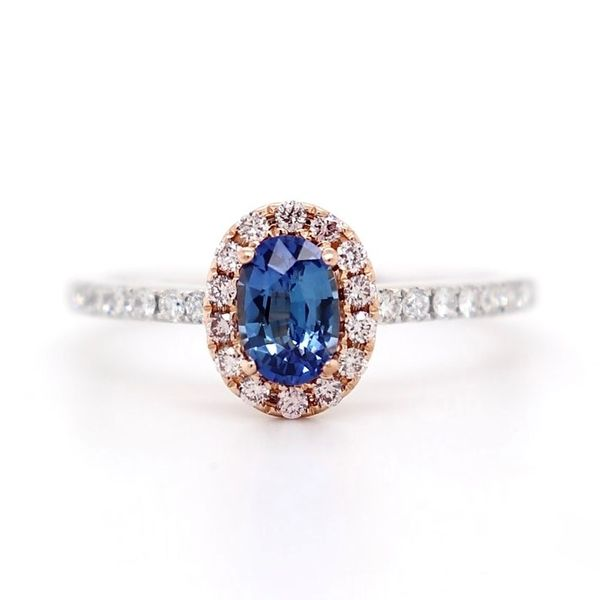 0.88tw Sapphire Ring with Diamond Halo Spicer Cole Fine Jewellers and Spicer Fine Jewellers Fredericton, NB