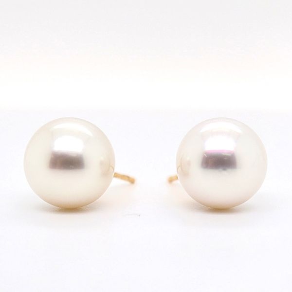 South Sea Cream Pearl Stud Earrings Spicer Cole Fine Jewellers and Spicer Fine Jewellers Fredericton, NB