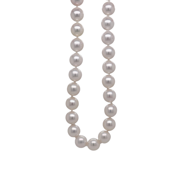 Akoya Pearl Necklace Spicer Cole Fine Jewellers and Spicer Fine Jewellers Fredericton, NB