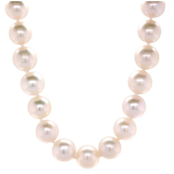Fresh Water White Pearl Necklace Spicer Cole Fine Jewellers and Spicer Fine Jewellers Fredericton, NB