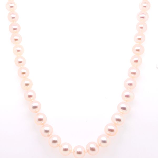 Akoya White Pearl Necklace Spicer Cole Fine Jewellers and Spicer Fine Jewellers Fredericton, NB