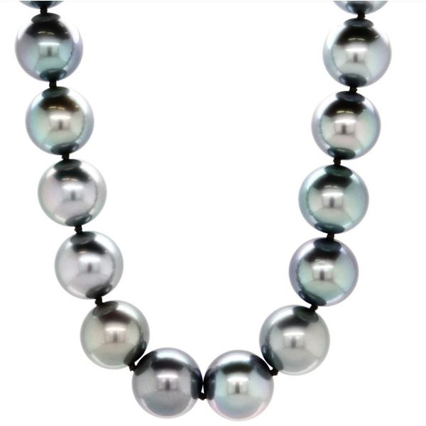 Tahitian Black Pearl Necklace Spicer Cole Fine Jewellers and Spicer Fine Jewellers Fredericton, NB