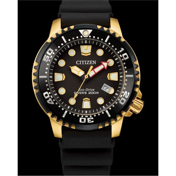 Citizen Promaster Diver Eco Drive Black Leather Watch Spicer Cole Fine Jewellers and Spicer Fine Jewellers Fredericton, NB