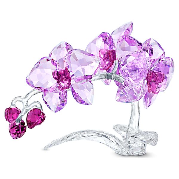 Swarovski Crystal Flowers Orchid Figurine Spicer Cole Fine Jewellers and Spicer Fine Jewellers Fredericton, NB