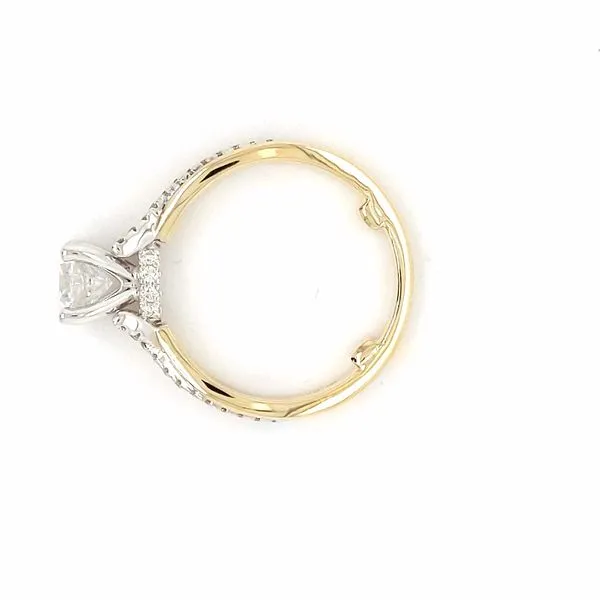 14kt White and Yellow Gold Engagement Mounting Image 4 Stambaugh Jewelers Defiance, OH