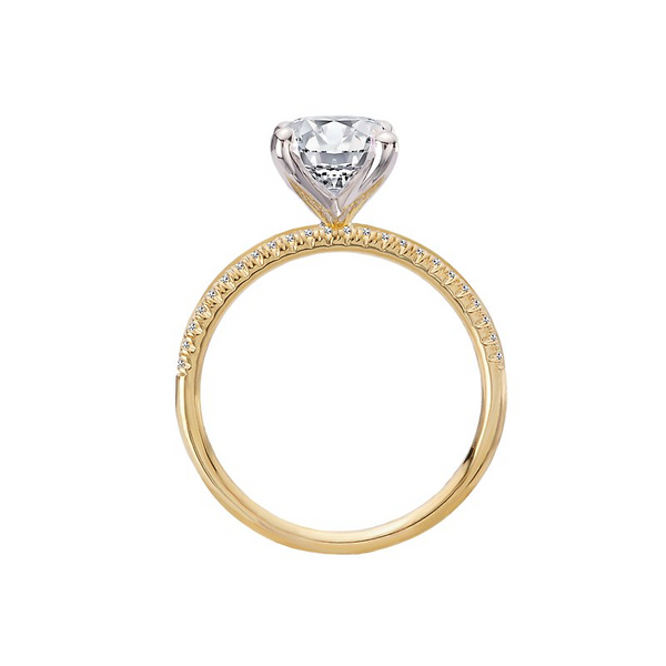 Engagement Mounting Image 2 Stambaugh Jewelers Defiance, OH