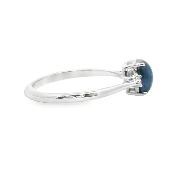 14kt White Gold Sapphire and Diamond Fashion Ring Image 2 Stambaugh Jewelers Defiance, OH
