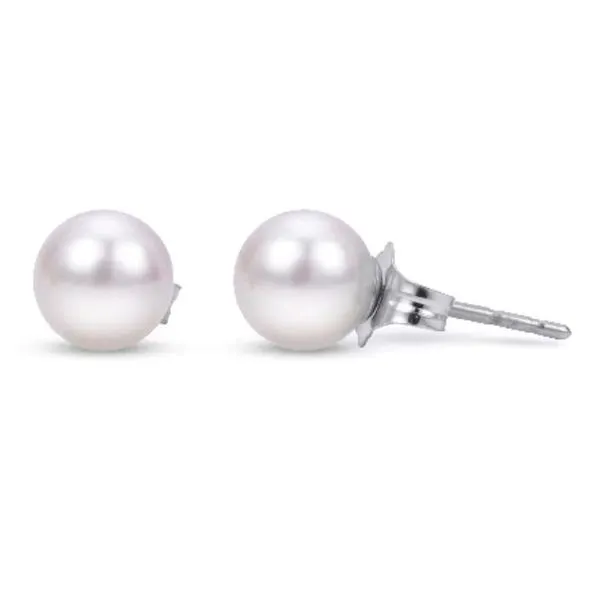 14kt White Gold Pearl Stud Earrings Stambaugh Jewelers Defiance, OH