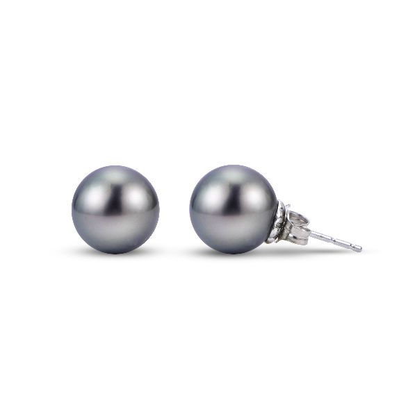 14kt White Gold Tahitial Pearl Earrings Stambaugh Jewelers Defiance, OH