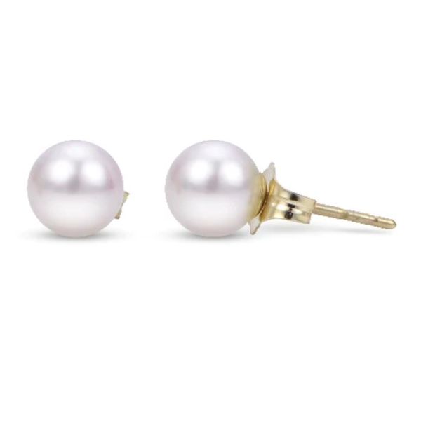 14kt Yellow Gold 8mm Pearl Stud Earrings Stambaugh Jewelers Defiance, OH
