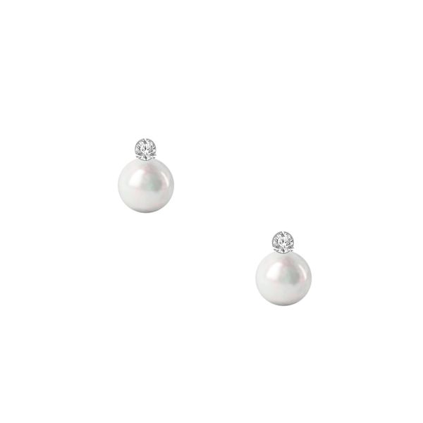 Pearl Earrings Stambaugh Jewelers Defiance, OH