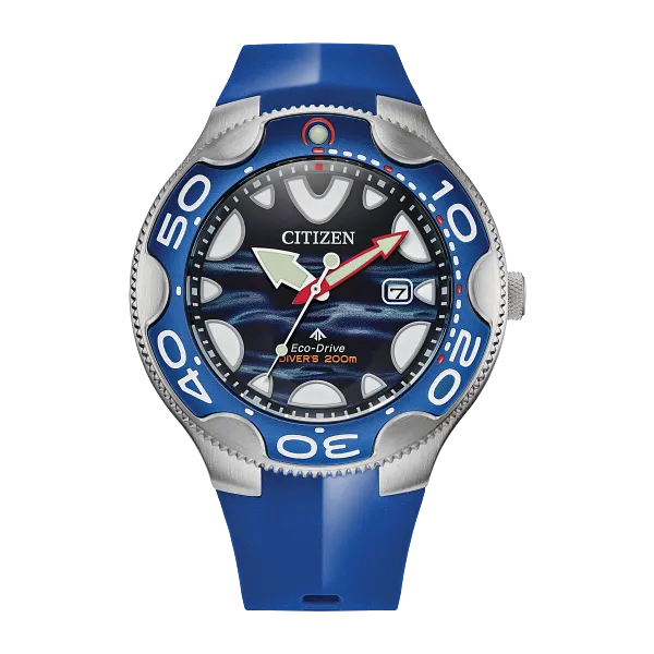Promaster Dive Men's Citizens Eco-Drive Watch Stambaugh Jewelers Defiance, OH