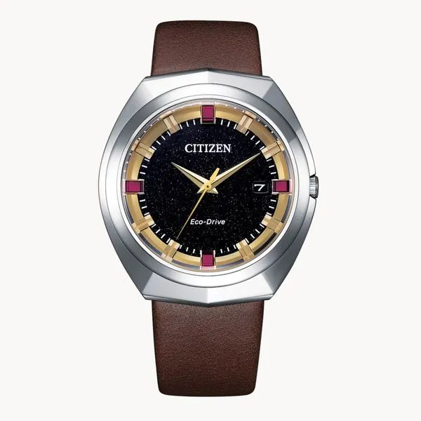 Men's Citizen Eco-Drive 365 Watch Stambaugh Jewelers Defiance, OH