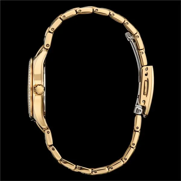 Ladies Crystal Citizen Eco-Drive Watch Image 2 Stambaugh Jewelers Defiance, OH