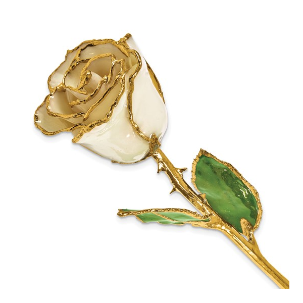 White 24kt Gold Dipped Rose Stambaugh Jewelers Defiance, OH