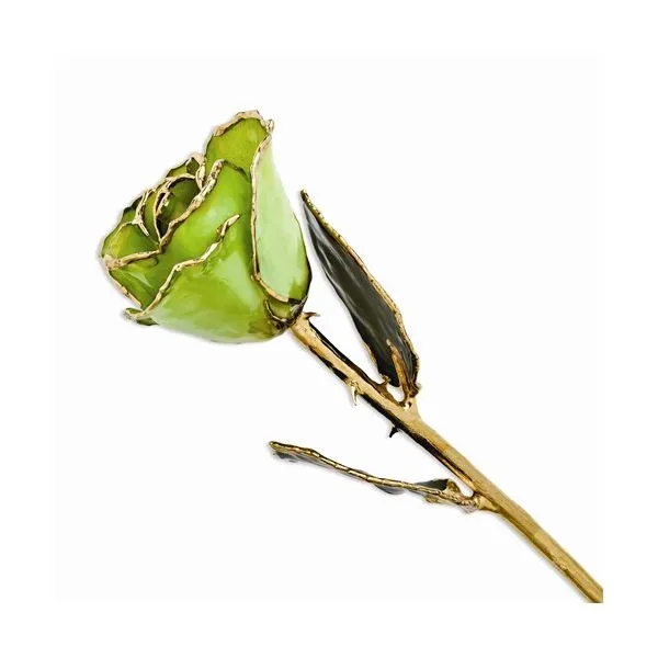 Light Green 24kt Gold Dipped Rose Stambaugh Jewelers Defiance, OH