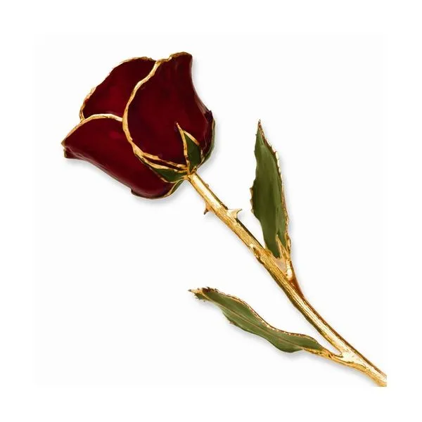 Dark Red 24kt Gold Dipped Rose Stambaugh Jewelers Defiance, OH