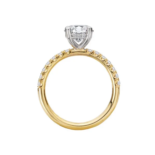 Wish Book and Gift Guide Item Image 2 Stambaugh Jewelers Defiance, OH