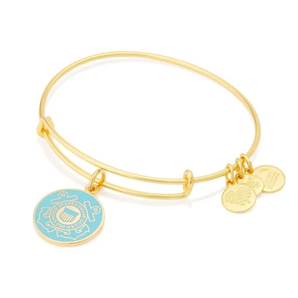 Alex and Ani Bracelet Stambaugh Jewelers Defiance, OH