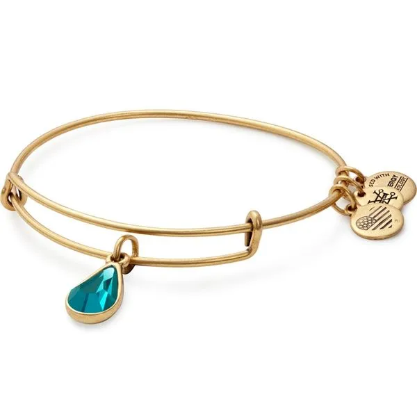 Alex and Ani Bracelet Stambaugh Jewelers Defiance, OH