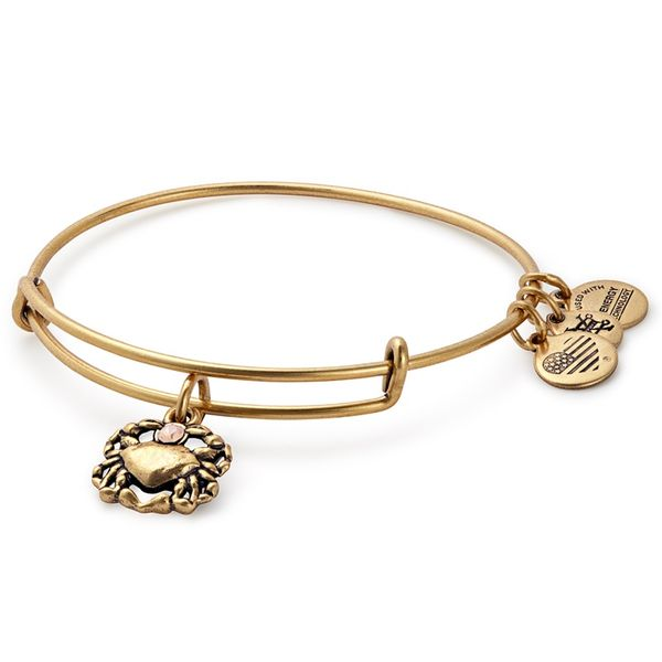 Alex and Ani Bracelet Stambaugh Jewelers Defiance, OH