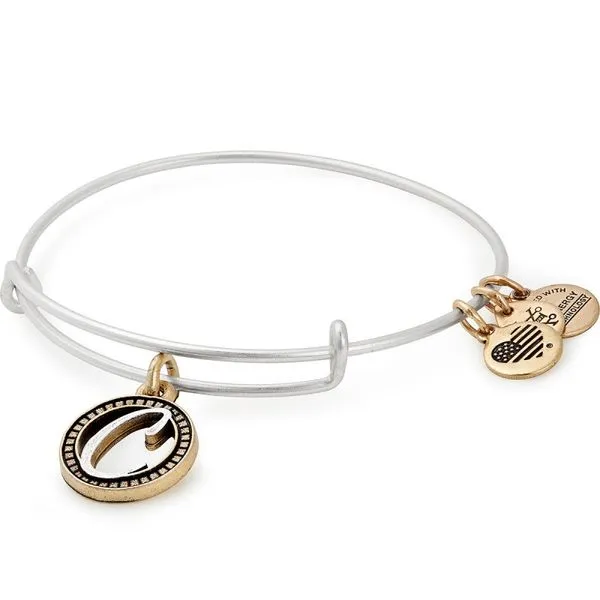 Alex and Ani Bracelet Stambaugh Jewelers Defiance, OH