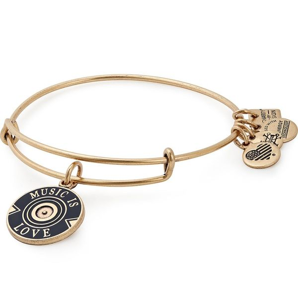 Alex and Ani Bracelet Stambaugh Jewelers Defiance, OH