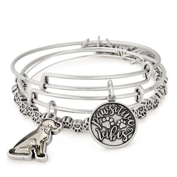 Alex and Ani Bracelet Stambaugh Jewelers Defiance, OH