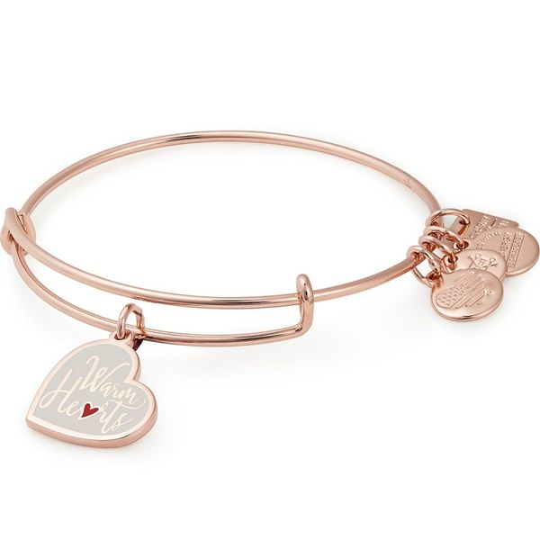 Alex and Ani Bracelet Stambaugh Jewelers Defiance, OH