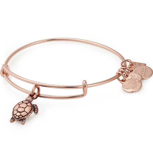 Alex and Ani Bracelet Stambaugh Jewelers Defiance, OH