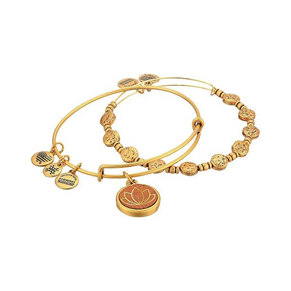 Alex and Ani Bracelet Stambaugh Jewelers Defiance, OH