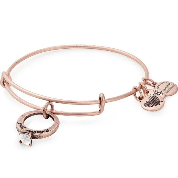 Alex and Ani Bracelet Stambaugh Jewelers Defiance, OH