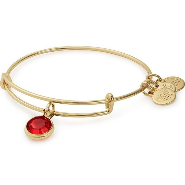 Alex and Ani Bracelet Stambaugh Jewelers Defiance, OH