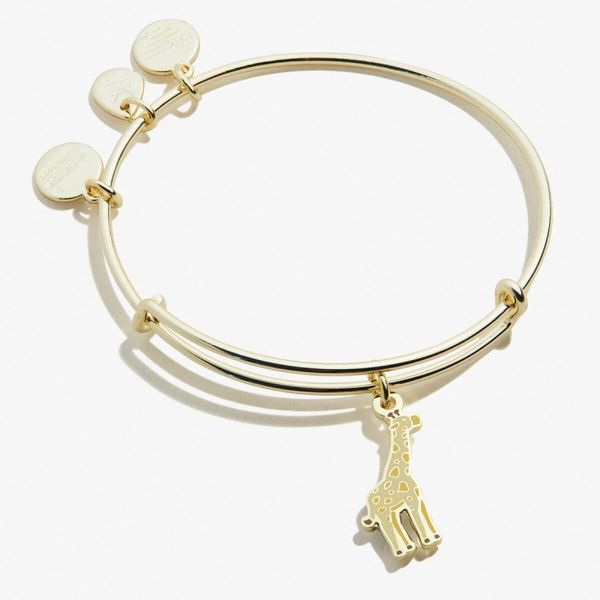 Alex and Ani Bracelet Stambaugh Jewelers Defiance, OH