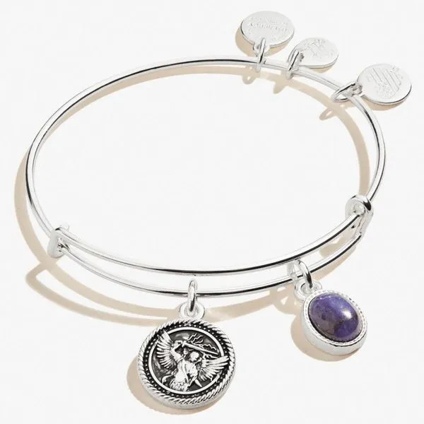 Alex and Ani Bracelet Stambaugh Jewelers Defiance, OH