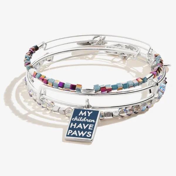 Alex and Ani Bracelet Stambaugh Jewelers Defiance, OH