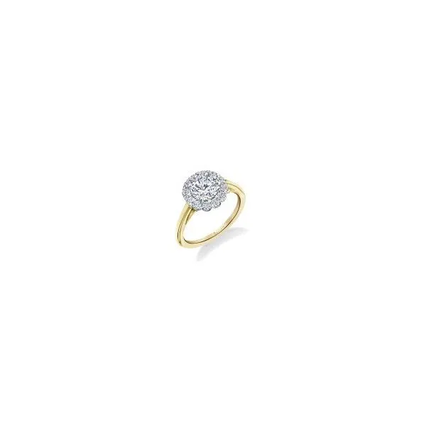 Semi-Mount Ring Studio D Jewelers Woodstock, IL