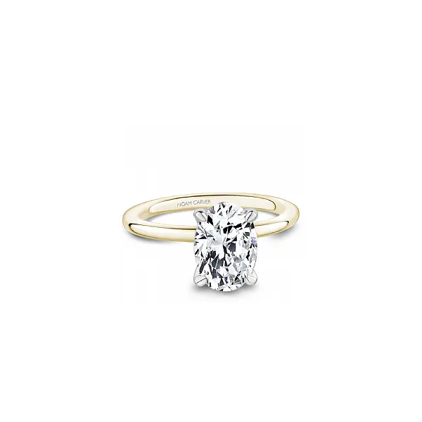 Semi-Mount Ring Studio D Jewelers Woodstock, IL