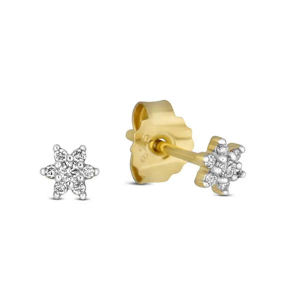Lab Grown Diamond Stud Earrings Studio D Jewelers Woodstock, IL